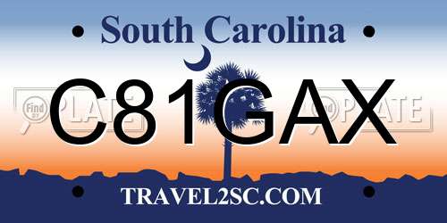 C81GAX South Carolina License Plate