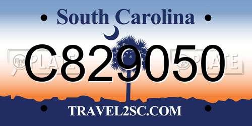 C829050 South Carolina License Plate