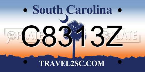 C8313Z South Carolina License Plate