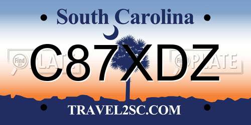 C87XDZ South Carolina License Plate