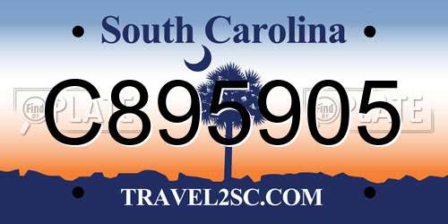 C895905 South Carolina License Plate