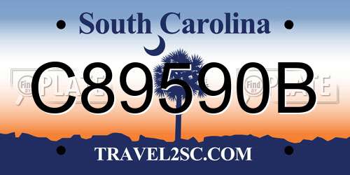 C89590B South Carolina License Plate