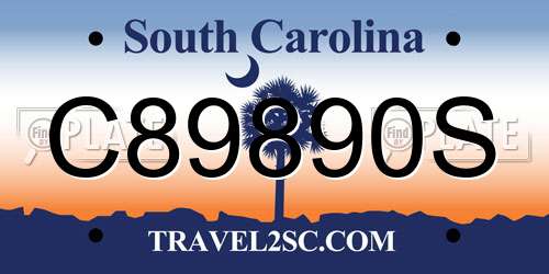 C89890S South Carolina License Plate