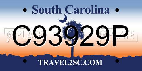 C93929P South Carolina License Plate