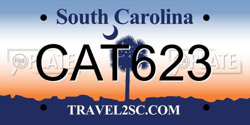 CAT623 South Carolina License Plate