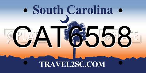 CAT6558 South Carolina License Plate