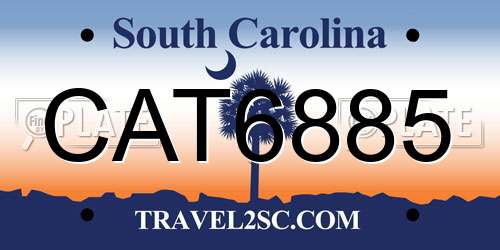 CAT6885 South Carolina License Plate