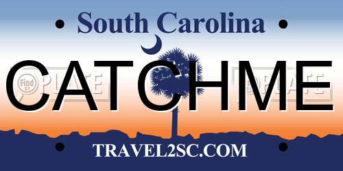 CATCHME South Carolina License Plate