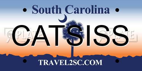 CATSISS South Carolina License Plate