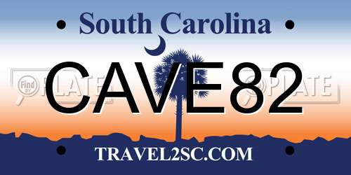 CAVE82 South Carolina License Plate