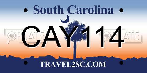 CAY114 South Carolina License Plate