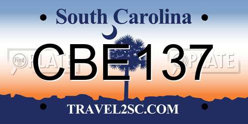 CBE137 South Carolina License Plate
