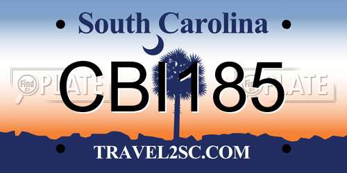 CBI185 South Carolina License Plate