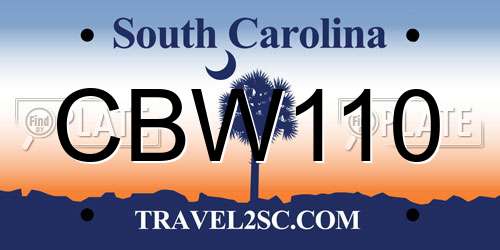 CBW110 South Carolina License Plate
