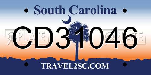CD31046 South Carolina License Plate