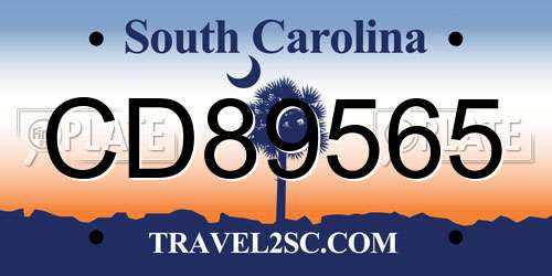 CD89565 South Carolina License Plate