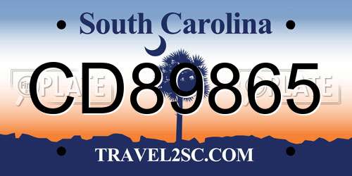 CD89865 South Carolina License Plate