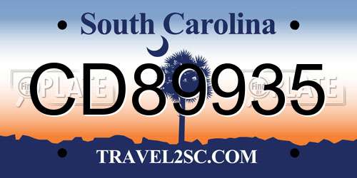 CD89935 South Carolina License Plate