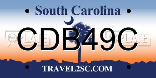 CDB49C South Carolina License Plate