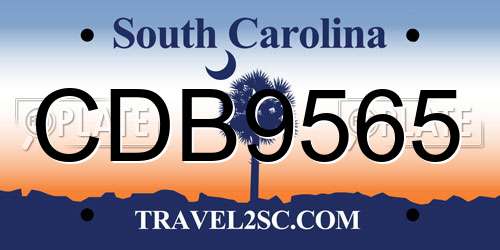 CDB9565 South Carolina License Plate