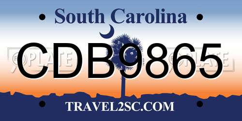CDB9865 South Carolina License Plate