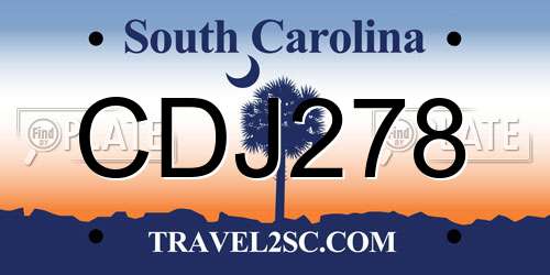 CDJ278 South Carolina License Plate