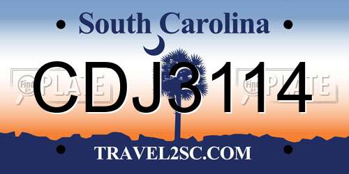 CDJ3114 South Carolina License Plate