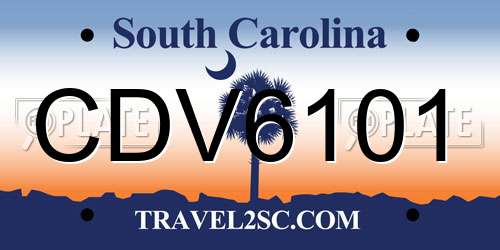 CDV6101 South Carolina License Plate