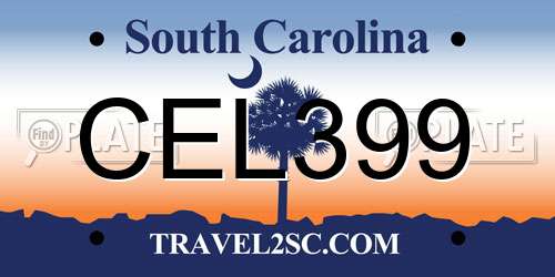 CEL399 South Carolina License Plate