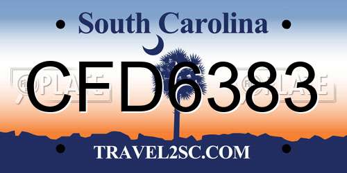 CFD6383 South Carolina License Plate