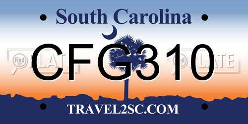 CFG310 South Carolina License Plate