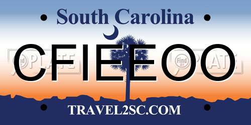 CFIEEOO South Carolina License Plate