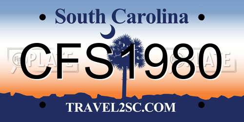CFS1980 South Carolina License Plate