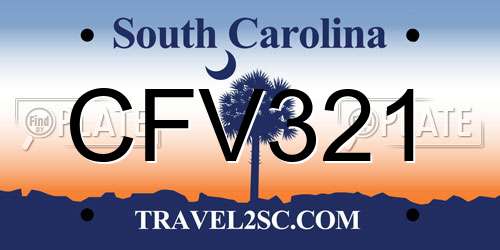 CFV321 South Carolina License Plate