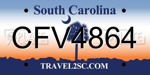 CFV4864 South Carolina License Plate