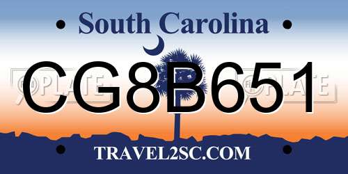 CG8B651 South Carolina License Plate