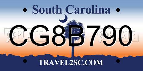 CG8B790 South Carolina License Plate