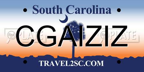 CGAIZIZ South Carolina License Plate
