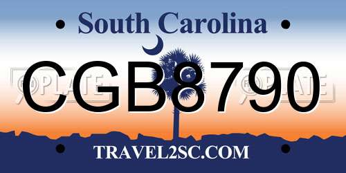 CGB8790 South Carolina License Plate