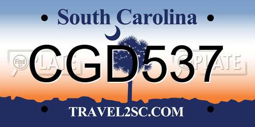 CGD537 South Carolina License Plate