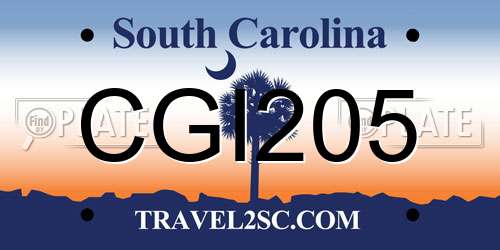CGI205 South Carolina License Plate