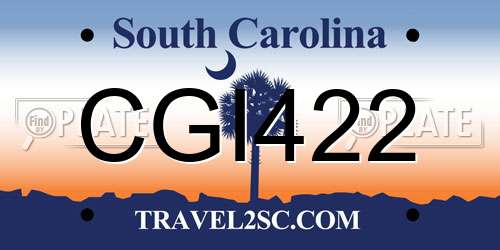 CGI422 South Carolina License Plate