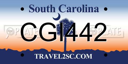 CGI442 South Carolina License Plate