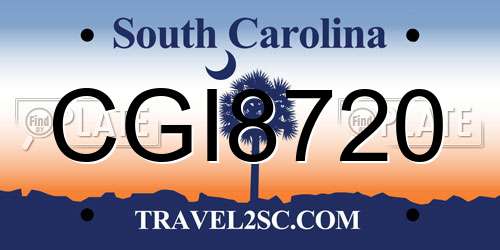 CGI8720 South Carolina License Plate