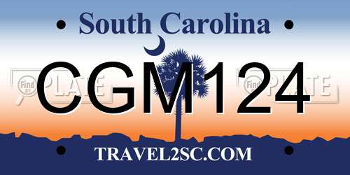 CGM124 South Carolina License Plate