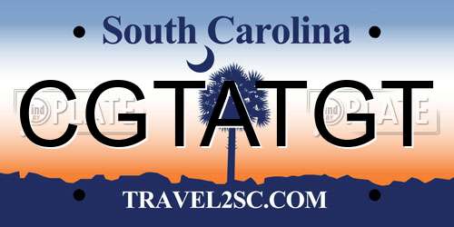 CGTATGT South Carolina License Plate
