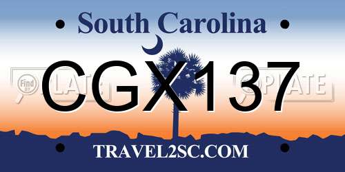 CGX137 South Carolina License Plate