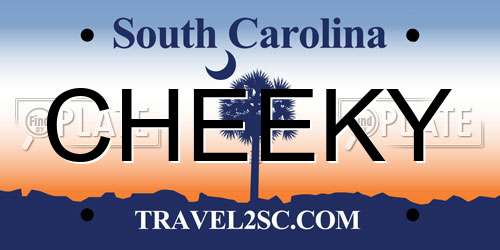 CHEEKY South Carolina License Plate