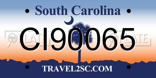 CI90065 South Carolina License Plate