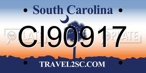 CI90917 South Carolina License Plate